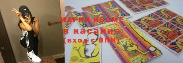 стаф Арсеньев