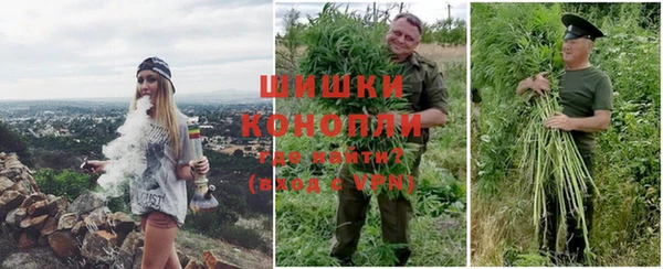 стаф Арсеньев
