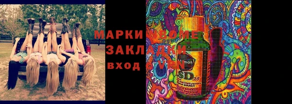 стаф Арсеньев