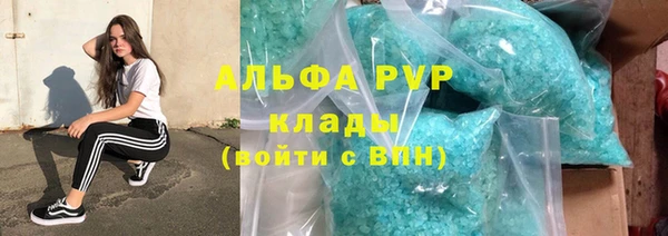 стаф Арсеньев