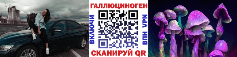 купить наркотики цена  Правдинск  Псилоцибиновые грибы GOLDEN TEACHER 
